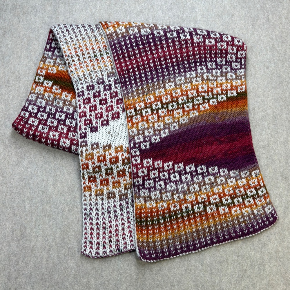 Handmade Double Knit Scarf Unisex Multicolor Boho Artisan Fall Winter Accessory